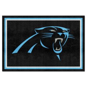 NFL - Carolina Panthers 5'x8' Rug